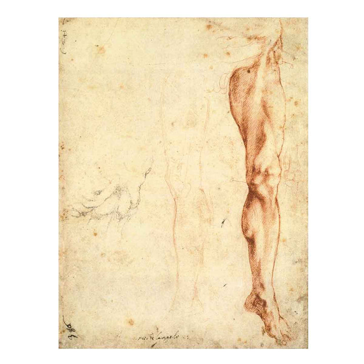 Study of a Left Male Leg (verso)