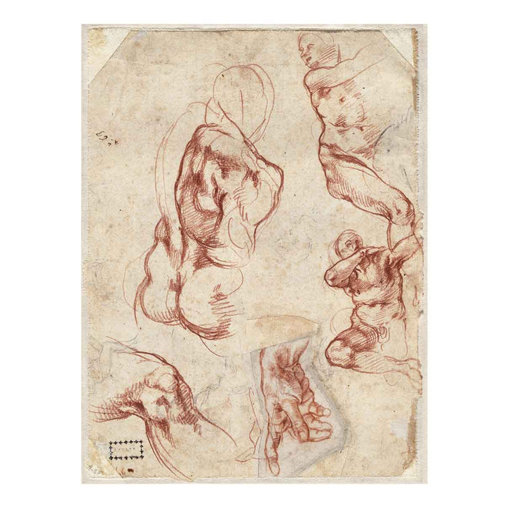 Various figure Studies (verso)