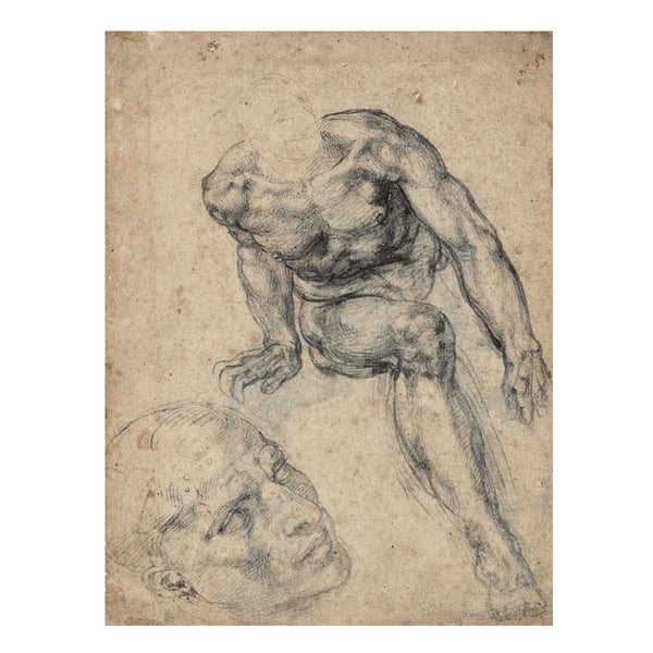 Study of a Male Nude (recto)