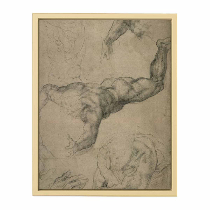 Studies for a Flying Angel (recto)