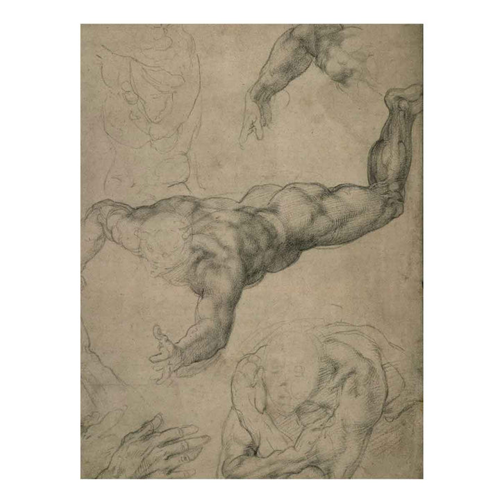 Studies for a Flying Angel (recto)