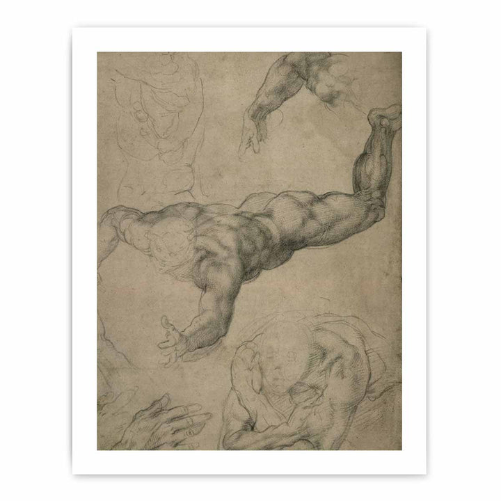 Studies for a Flying Angel (recto)