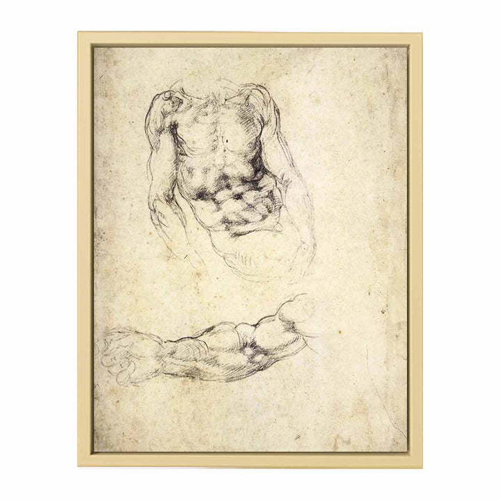 Upper Body of a Sitting Man and Study of a Right Arm (recto)