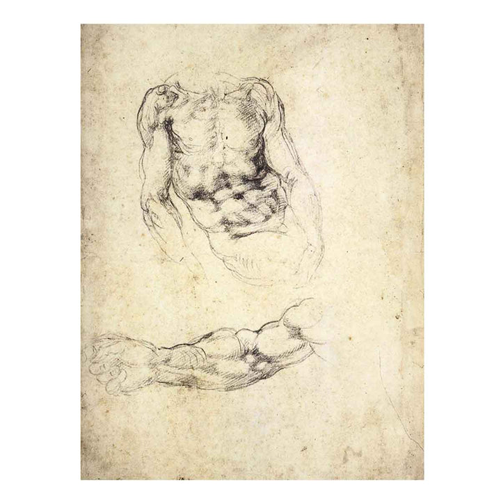 Upper Body of a Sitting Man and Study of a Right Arm (recto)