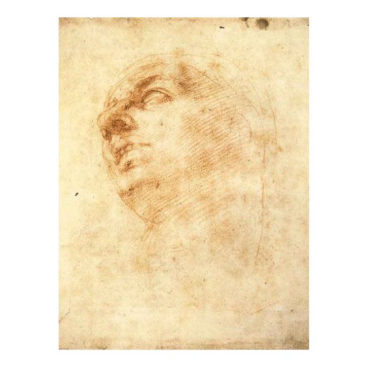 Study of a Head Looking Upward (recto)