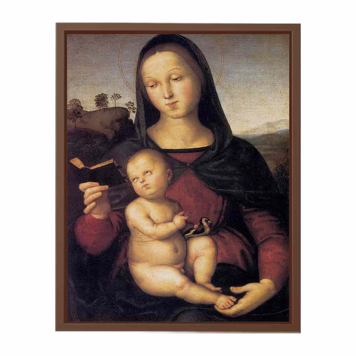 Solly Madonna 1502