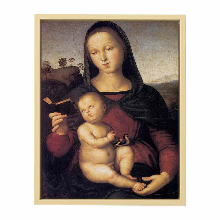 Solly Madonna 1502