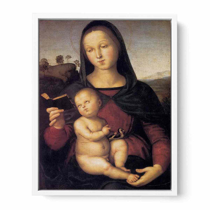 Solly Madonna 1502