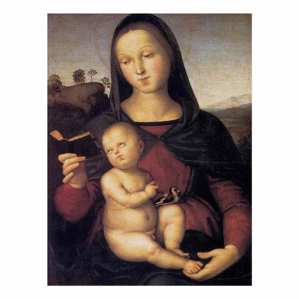 Solly Madonna 1502