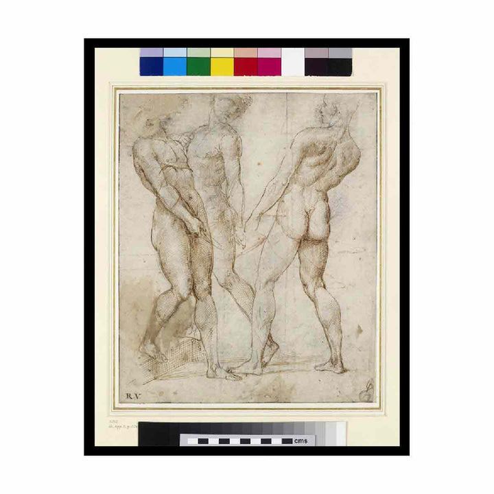 Study of Three Nude Bearers