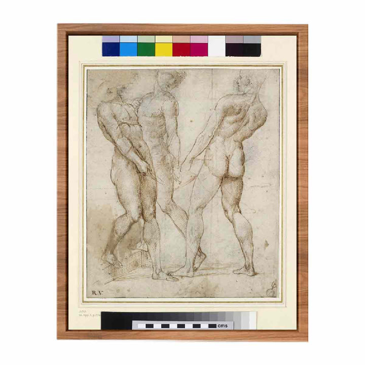 Study of Three Nude Bearers