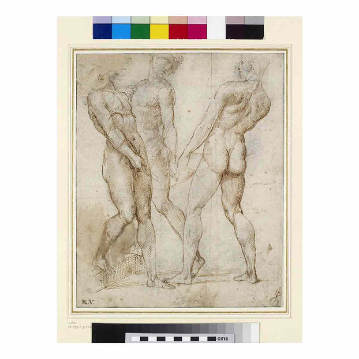 Study of Three Nude Bearers