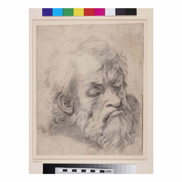 Study of the Head of an Apostle
