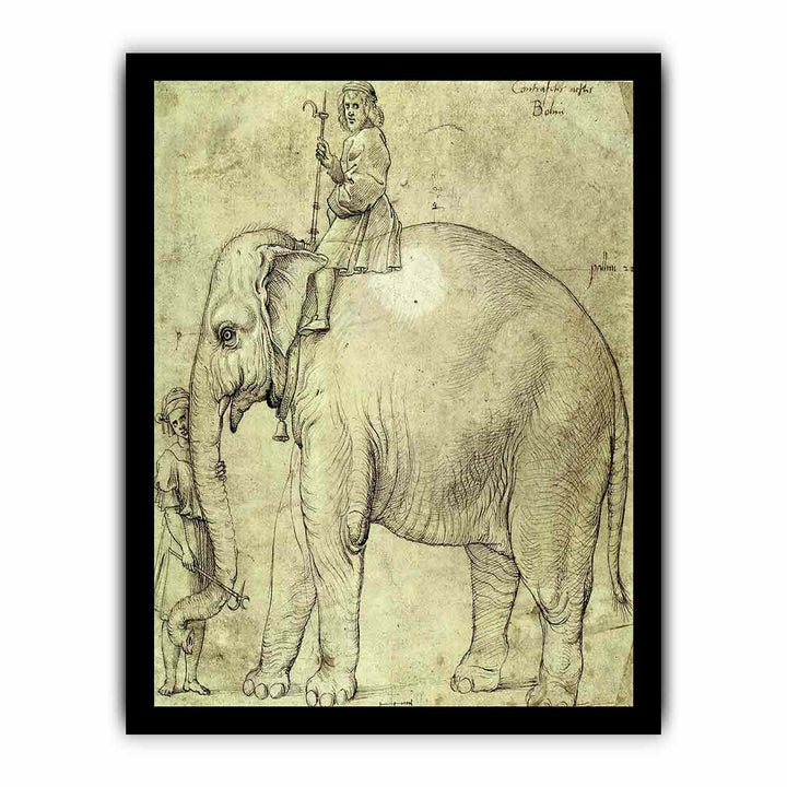 Hanno, The Pope's Leo X Elephant