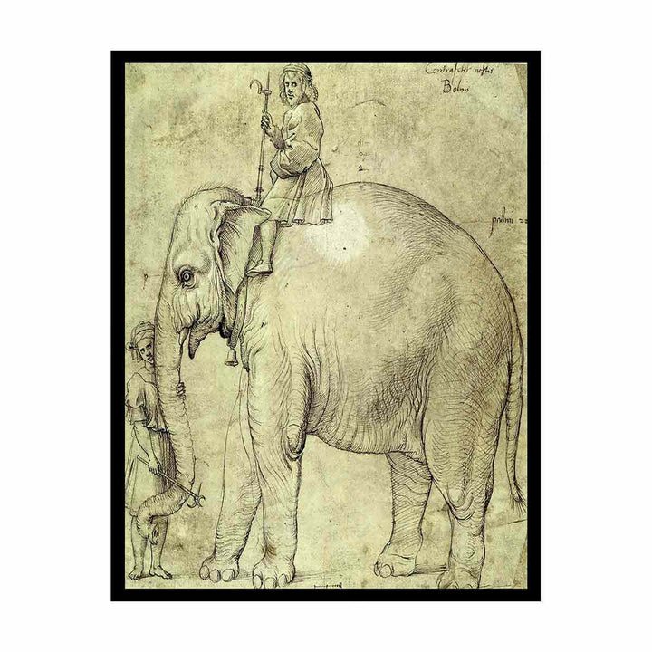 Hanno, The Pope's Leo X Elephant