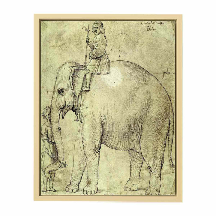 Hanno, The Pope's Leo X Elephant