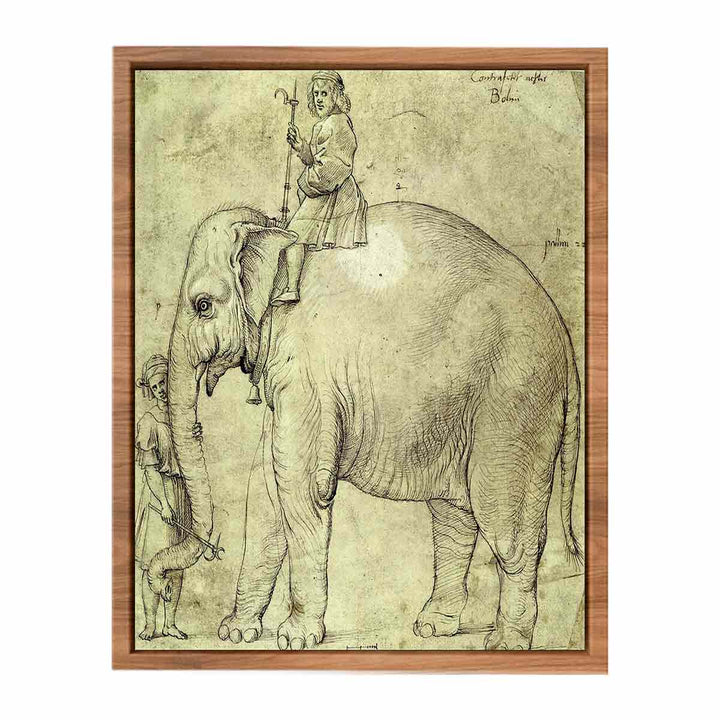 Hanno, The Pope's Leo X Elephant