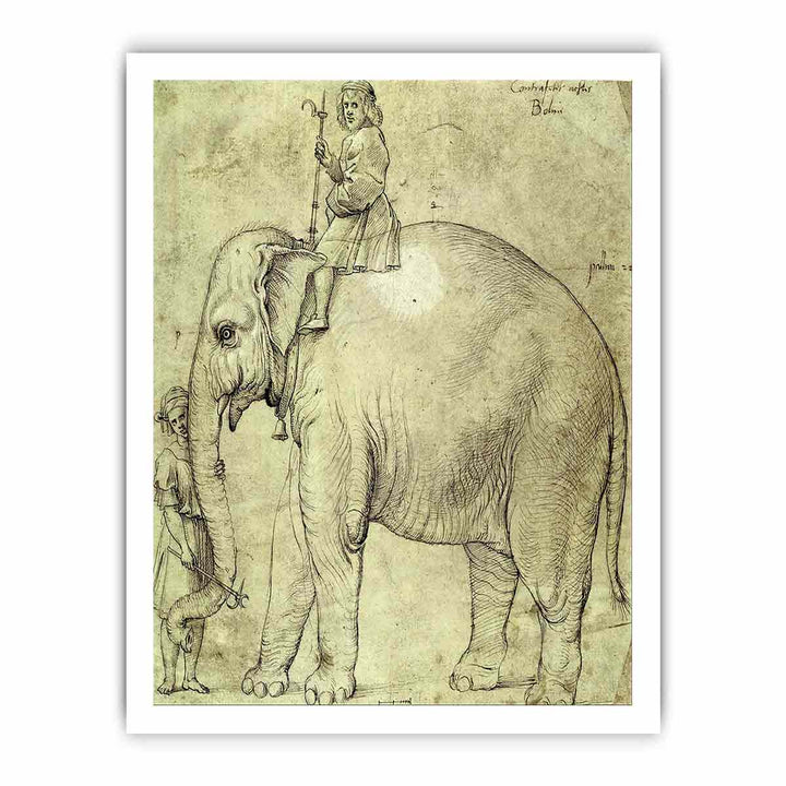 Hanno, The Pope's Leo X Elephant