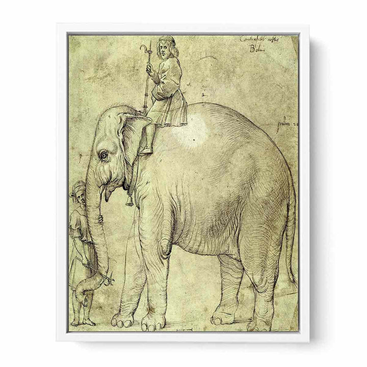 Hanno, The Pope's Leo X Elephant