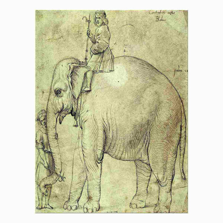 Hanno, The Pope's Leo X Elephant