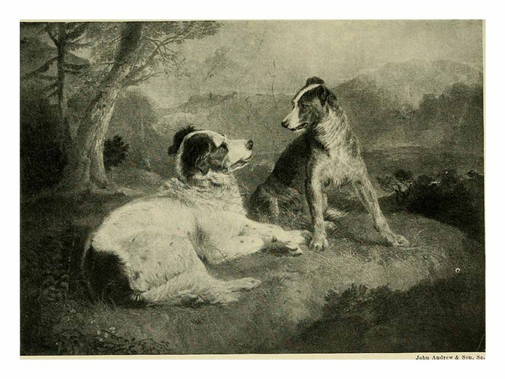  Landseer : a collection of fifteen pictures and a portrait of the painter