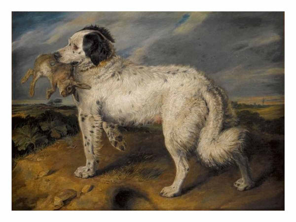 The Champion; Venus, a Landseer Newfoundland with a rabbit, 45.5 by 55.5 in (116 by 141 cm)