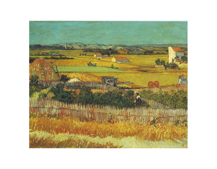 Harvest  Painting By Van Gogh