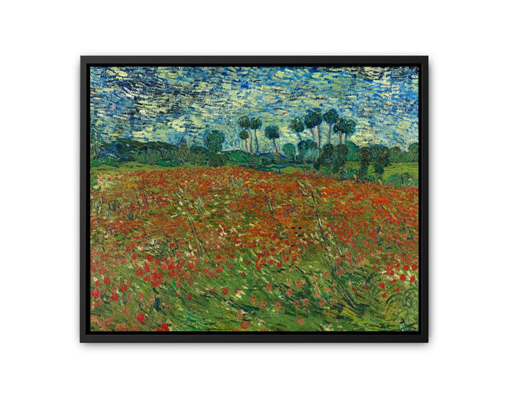 Poppy Field By Vincent Van Gogh