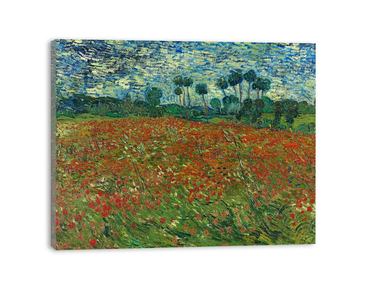 Poppy Field By Vincent Van Gogh