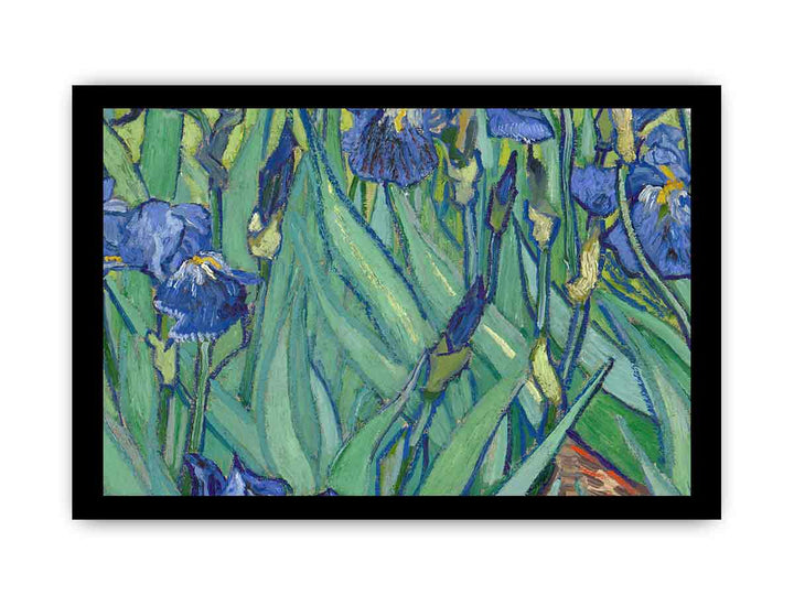 Irises By Van Gogh Painting