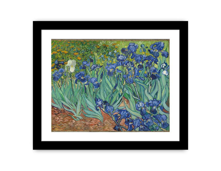 Irises By Van Gogh Painting