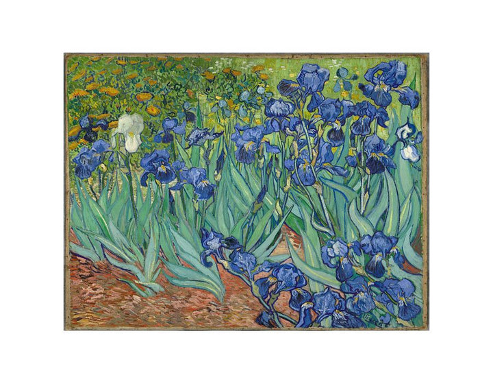 Irises By Van Gogh Painting