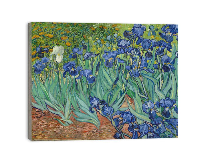 Irises By Van Gogh Painting