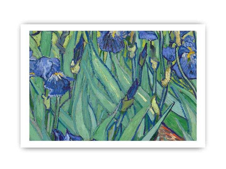 Irises By Van Gogh Painting