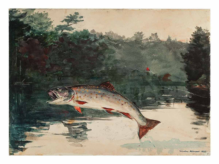 Leaping Trout