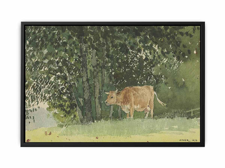 Cow in Pasture