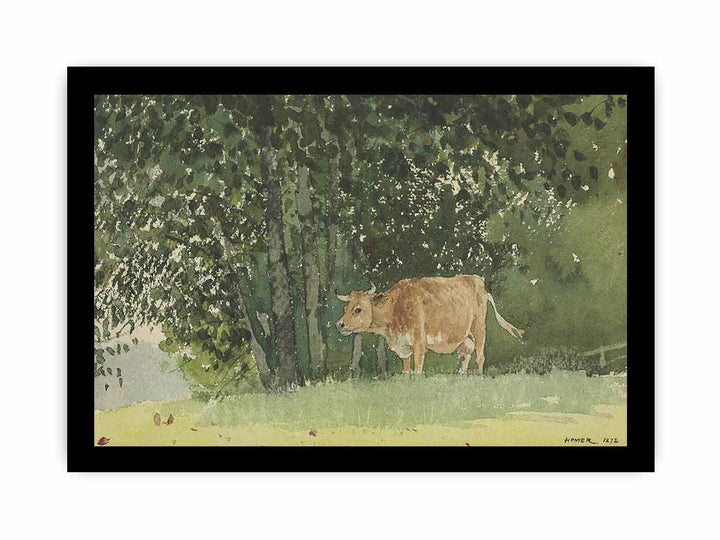 Cow in Pasture