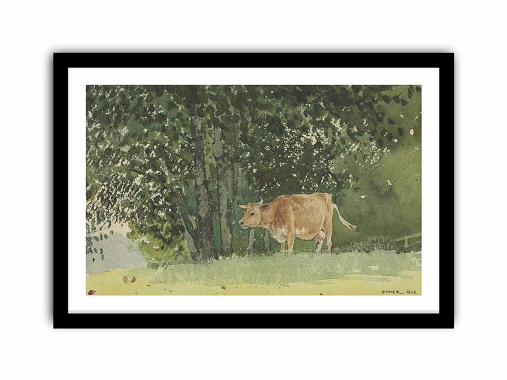 Cow in Pasture