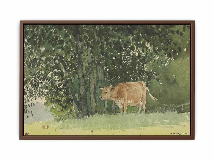 Cow in Pasture