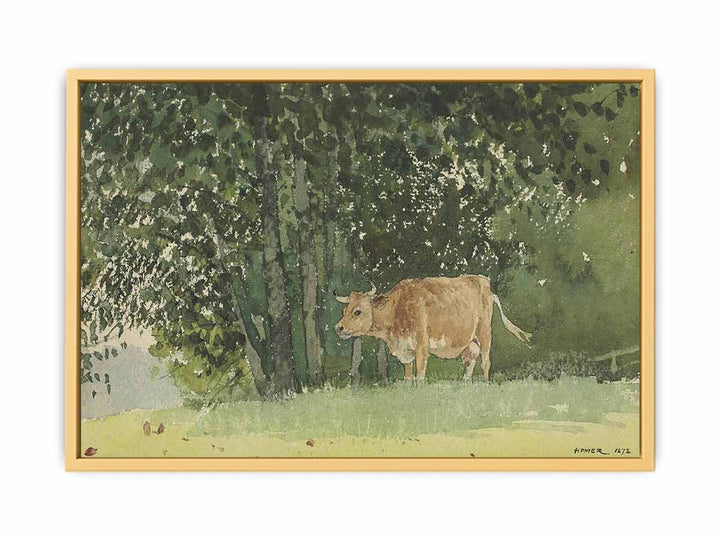 Cow in Pasture