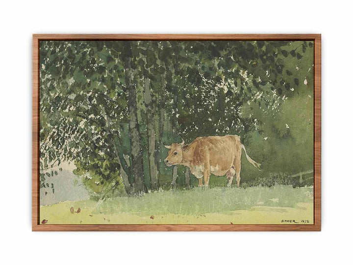 Cow in Pasture