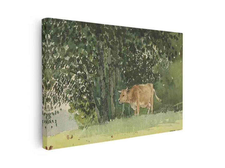 Cow in Pasture