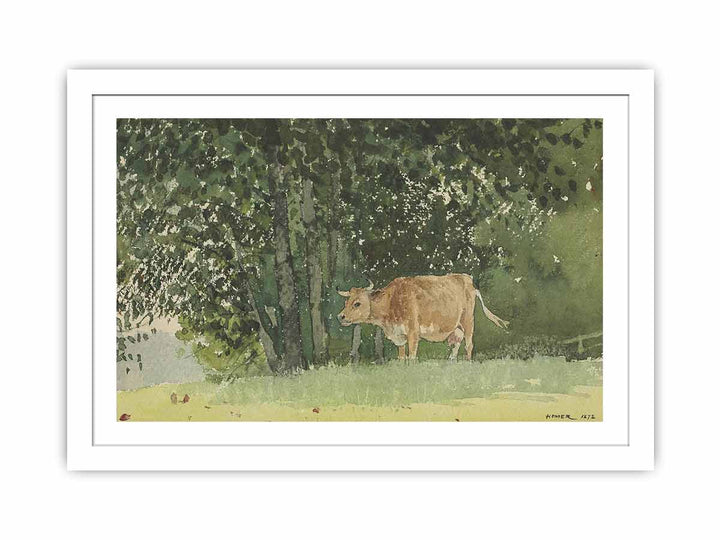 Cow in Pasture