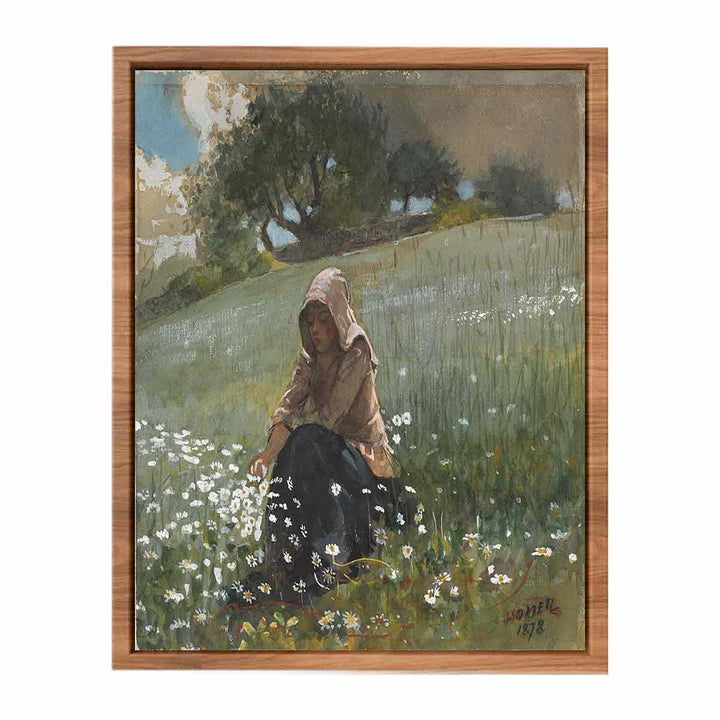 Girl and Daisies