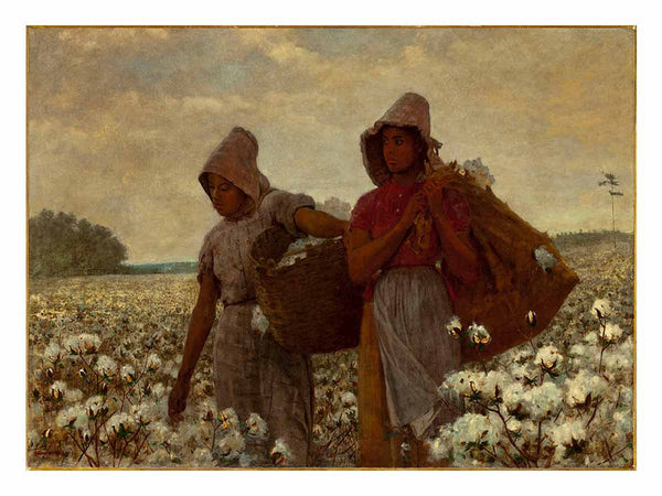 The Cotton Pickers