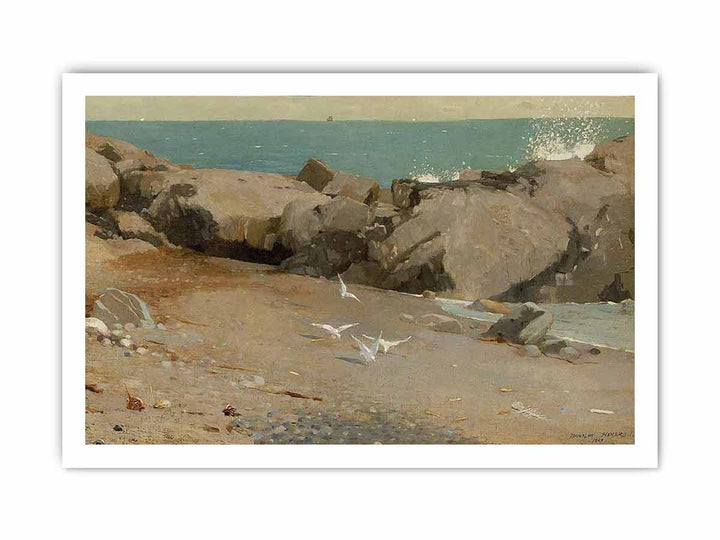 Rocky Coast and Gulls