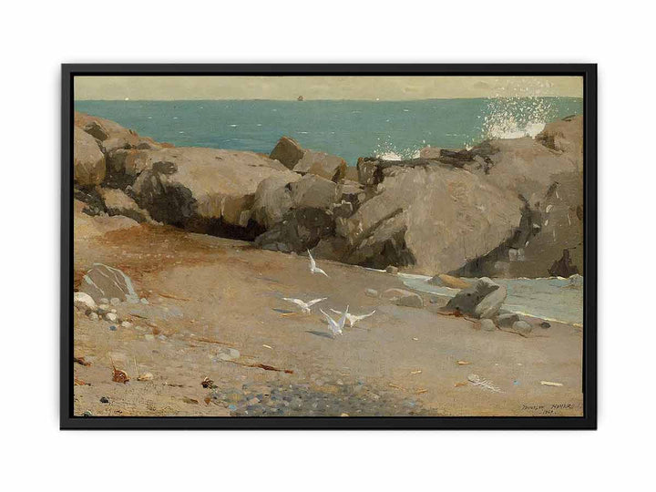 Rocky Coast and Gulls