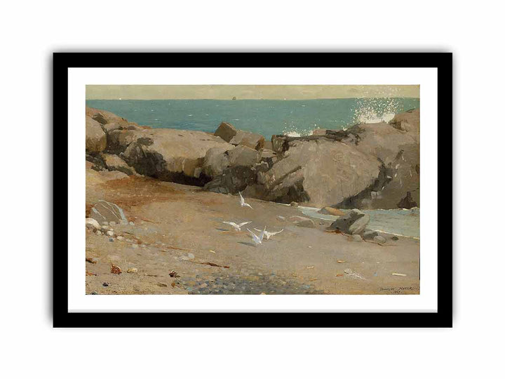 Rocky Coast and Gulls