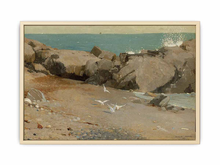 Rocky Coast and Gulls