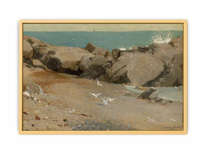 Rocky Coast and Gulls